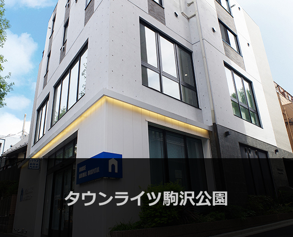 タウンライツ駒沢公園
